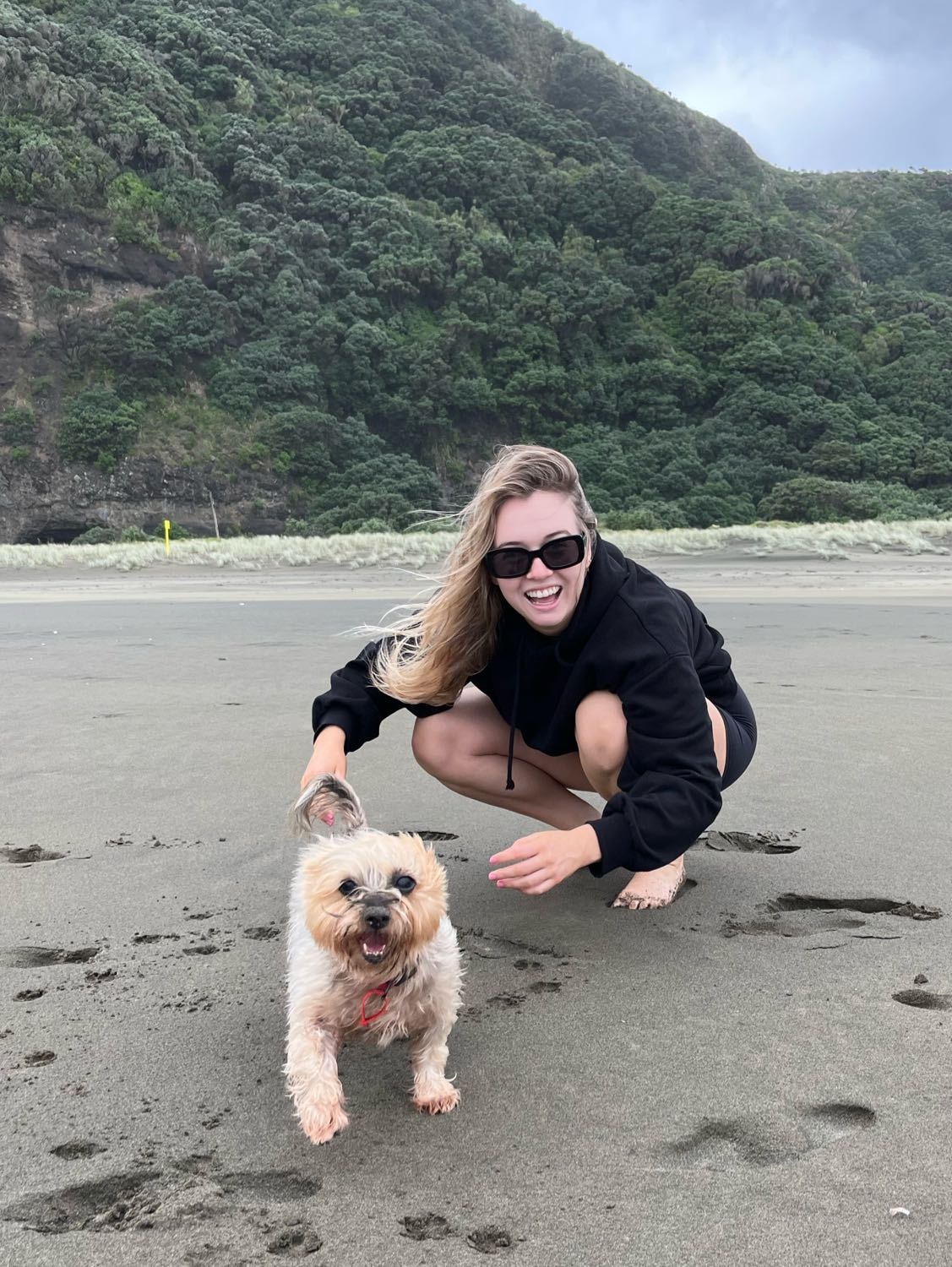 Sofia Pet Sitter In Auckland Pawshake co nz sofia-pet-sitter-in-auckland-pawshake-co-nz