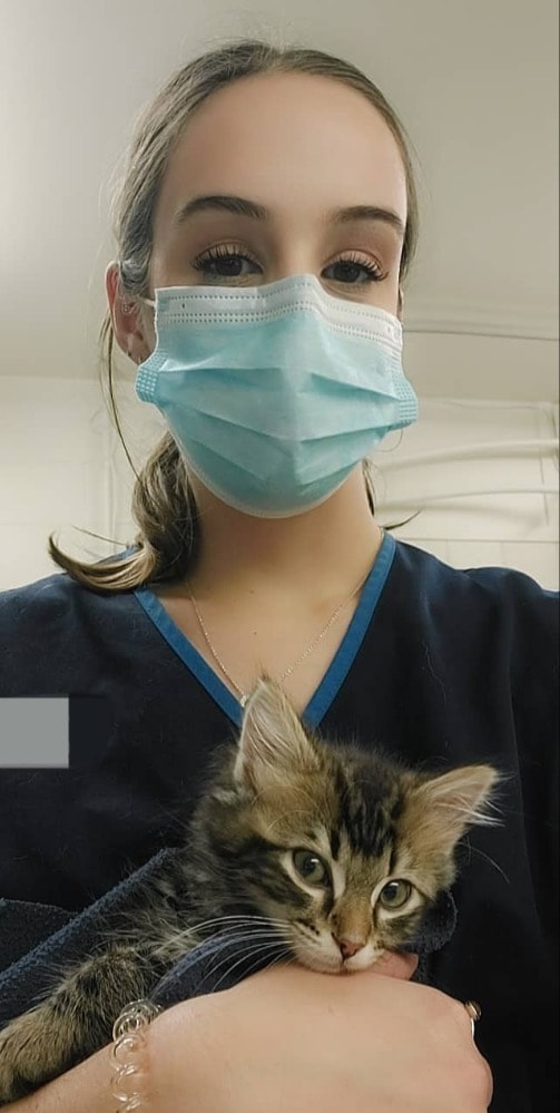 Maddy Pet sitter in Lower Hutt Pawshake.co.nz