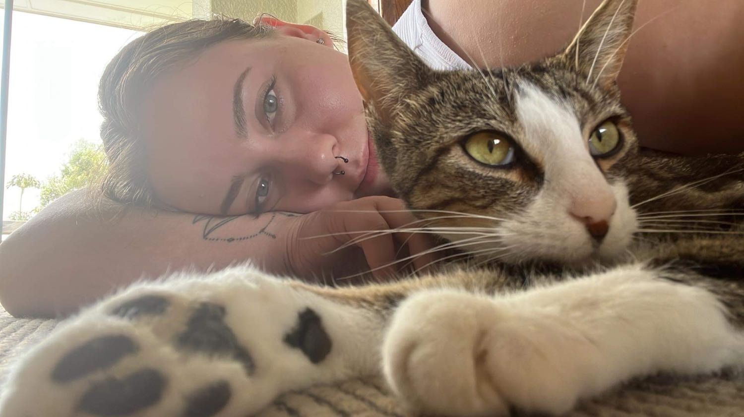 Cheyenne Pet sitter in Palmerston North Pawshake.co.nz