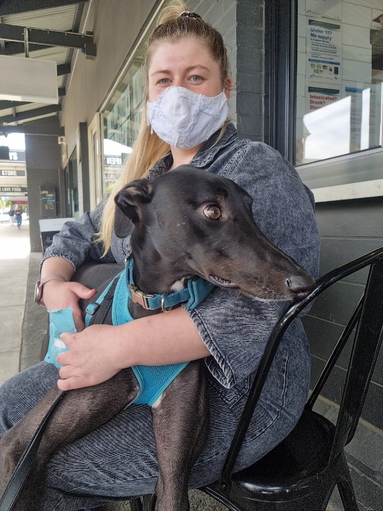 Alice Pet sitter in Geelong