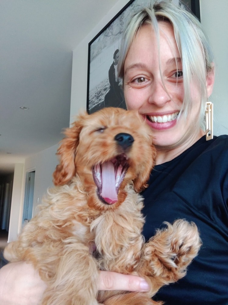 Sarah Pet sitter in Auckland Pawshake.co.nz