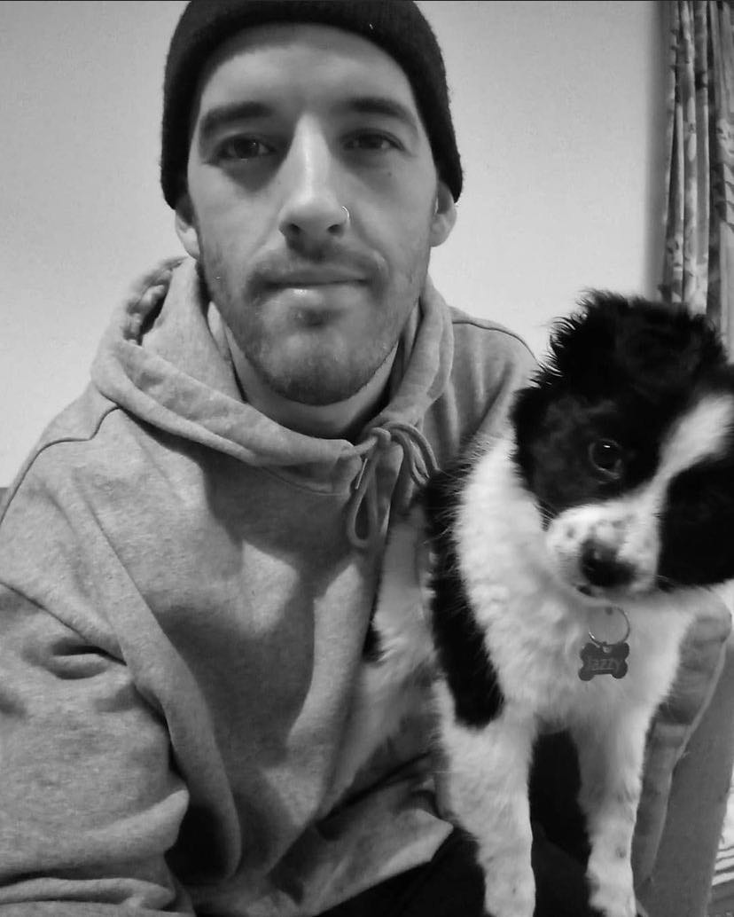 Michael Pet sitter in Auckland Pawshake.co.nz