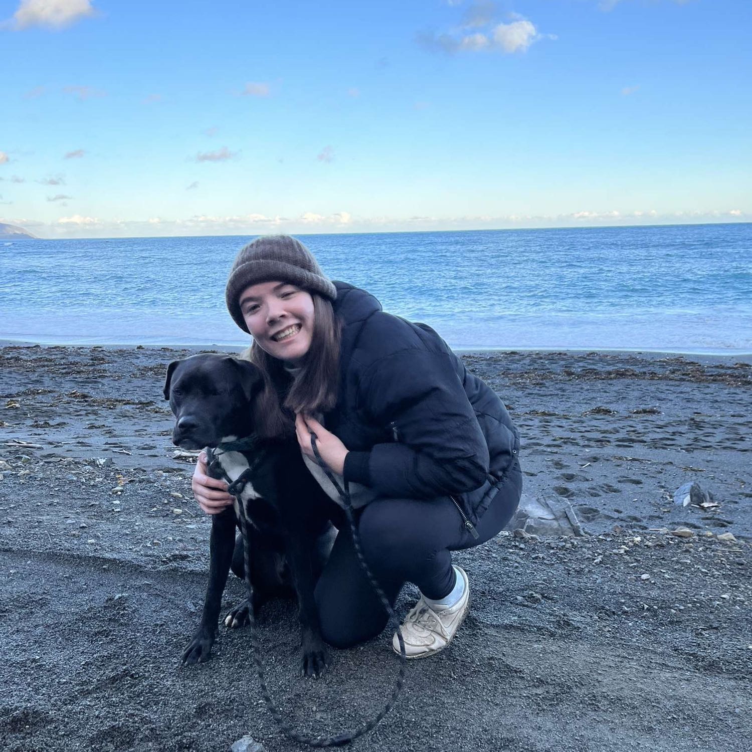 Dog Boarding Lower Hutt Better than a Dog Kennel or Dog Hotel Pawshake.co.nz