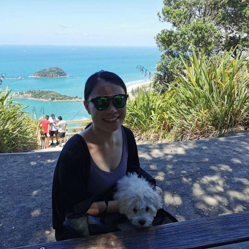 Cat Sitter Auckland