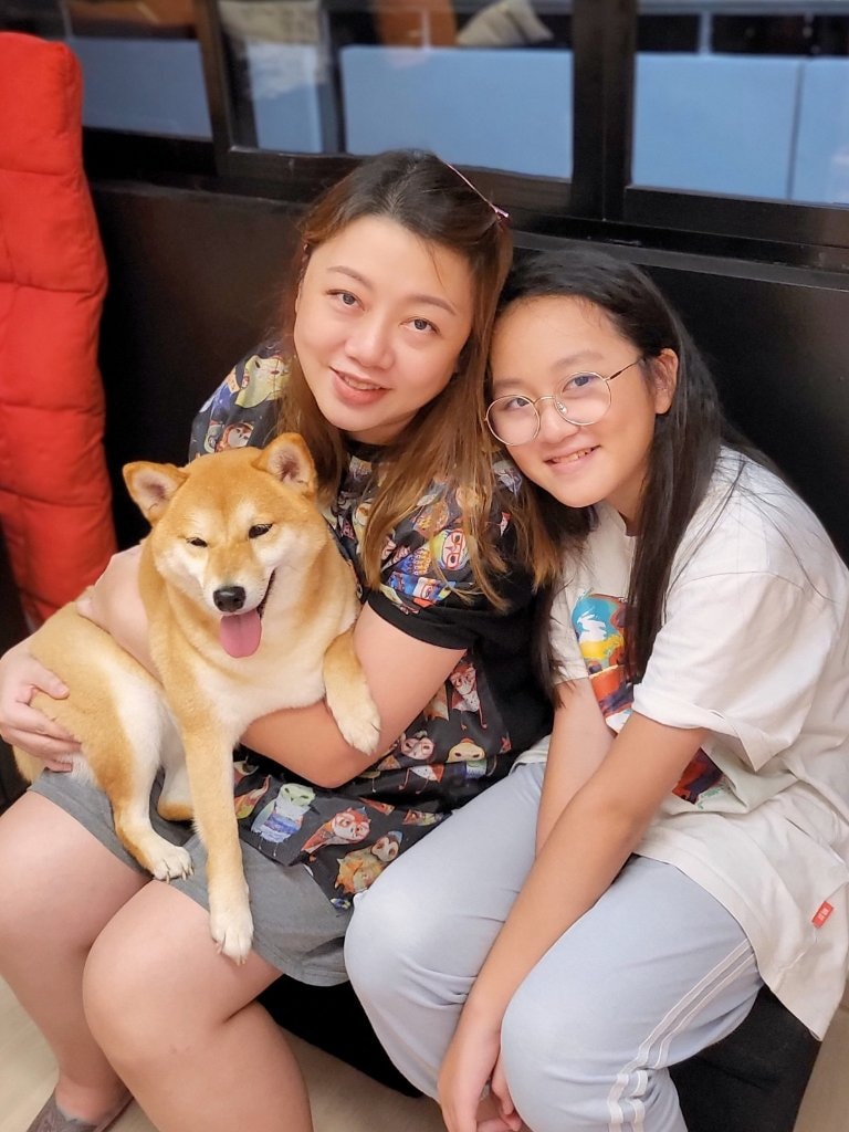 day dog sitters near me