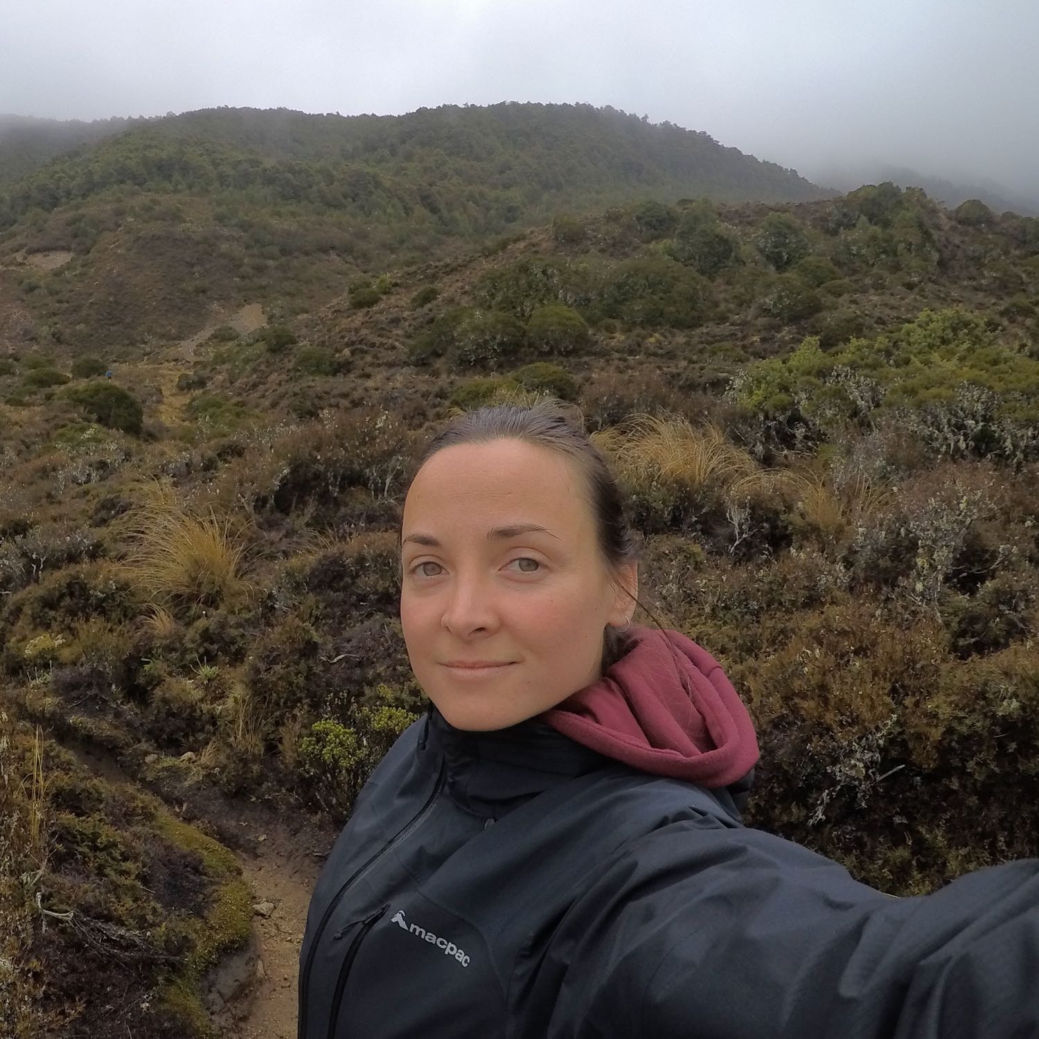 jana-pet-sitter-in-auckland-pawshake-co-nz