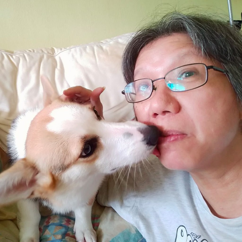 Li Li