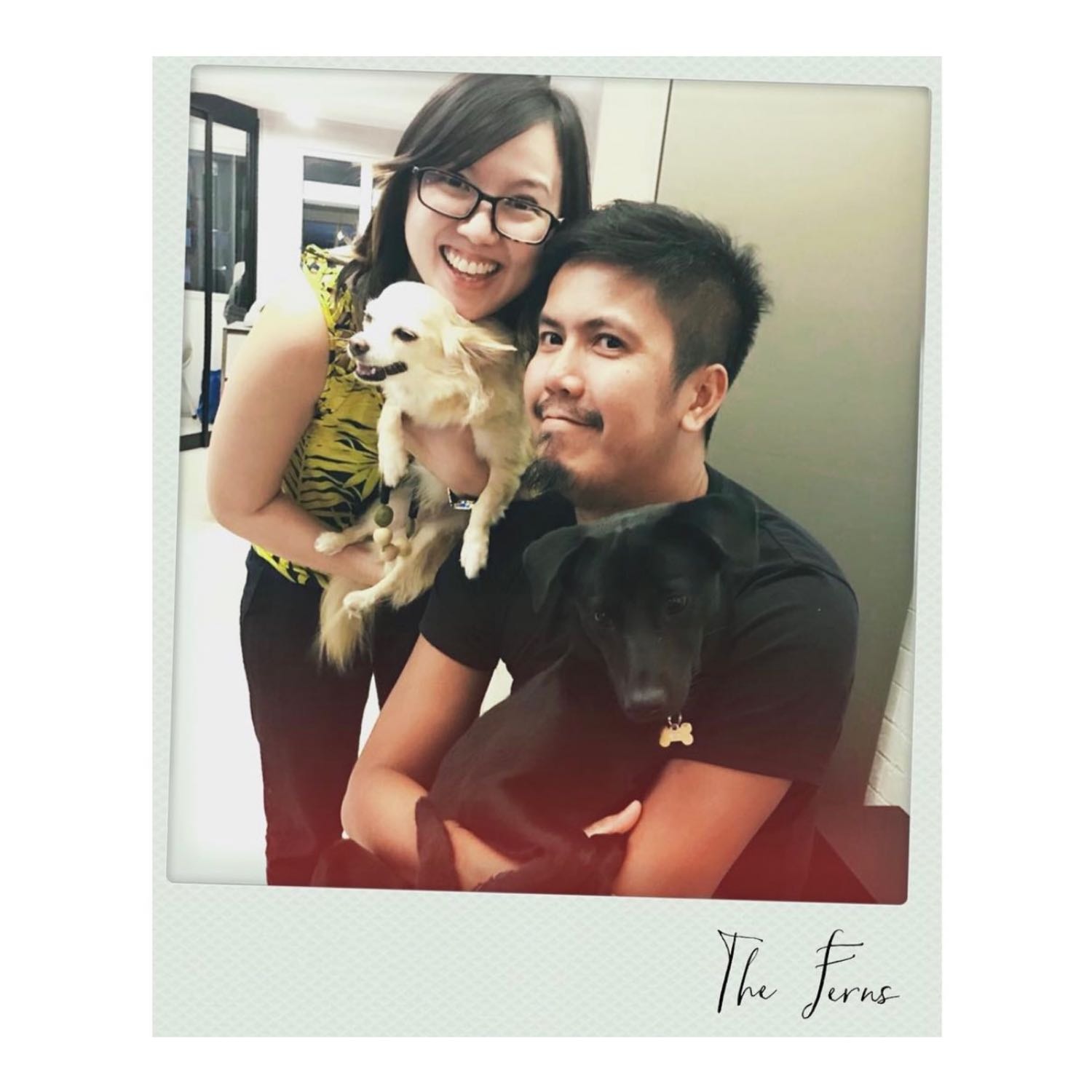 Kristen Pet sitter in Queenstown