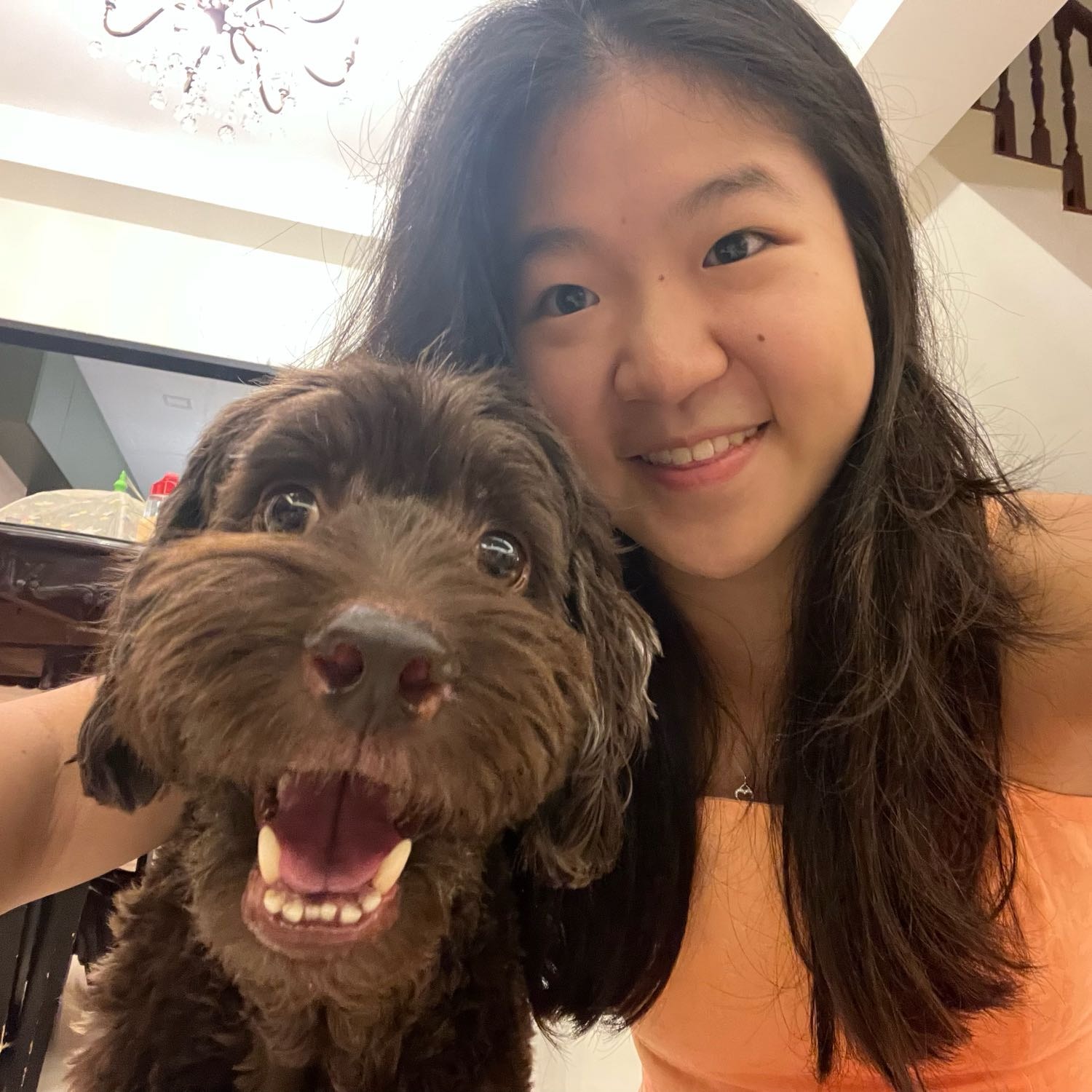 Pet Sitters & Dog Sitters in Adelaide SA