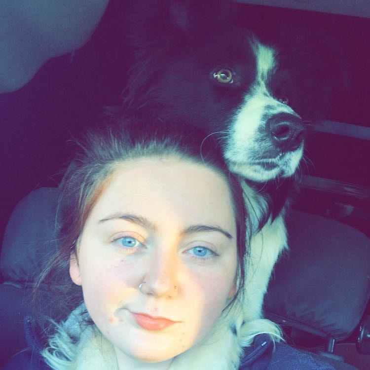 Pet Sitters & Dog Sitters in Auckland Pawshake.co.nz