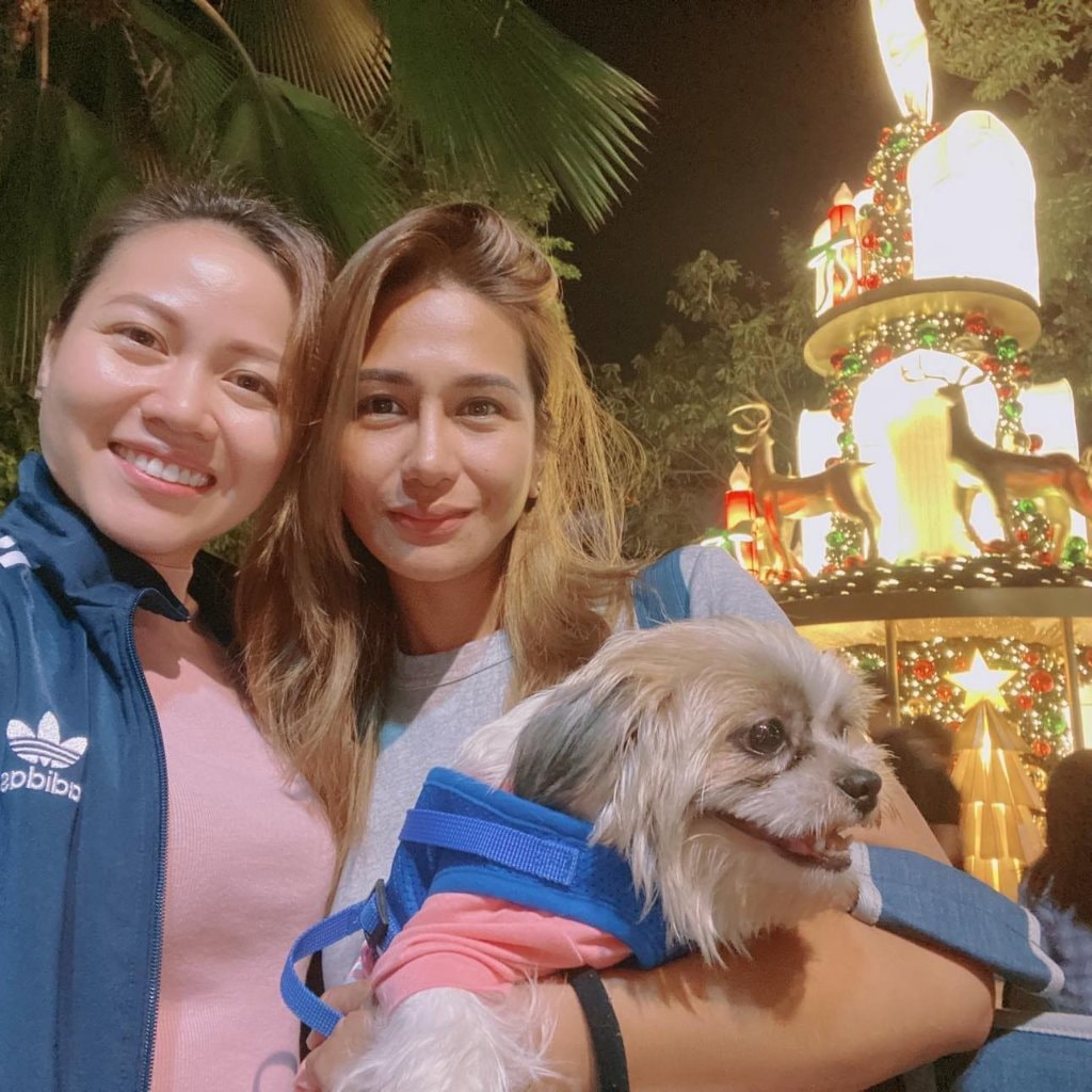 Dog Boarding Penrith NSW Better than a Dog Kennel or Dog Hotel