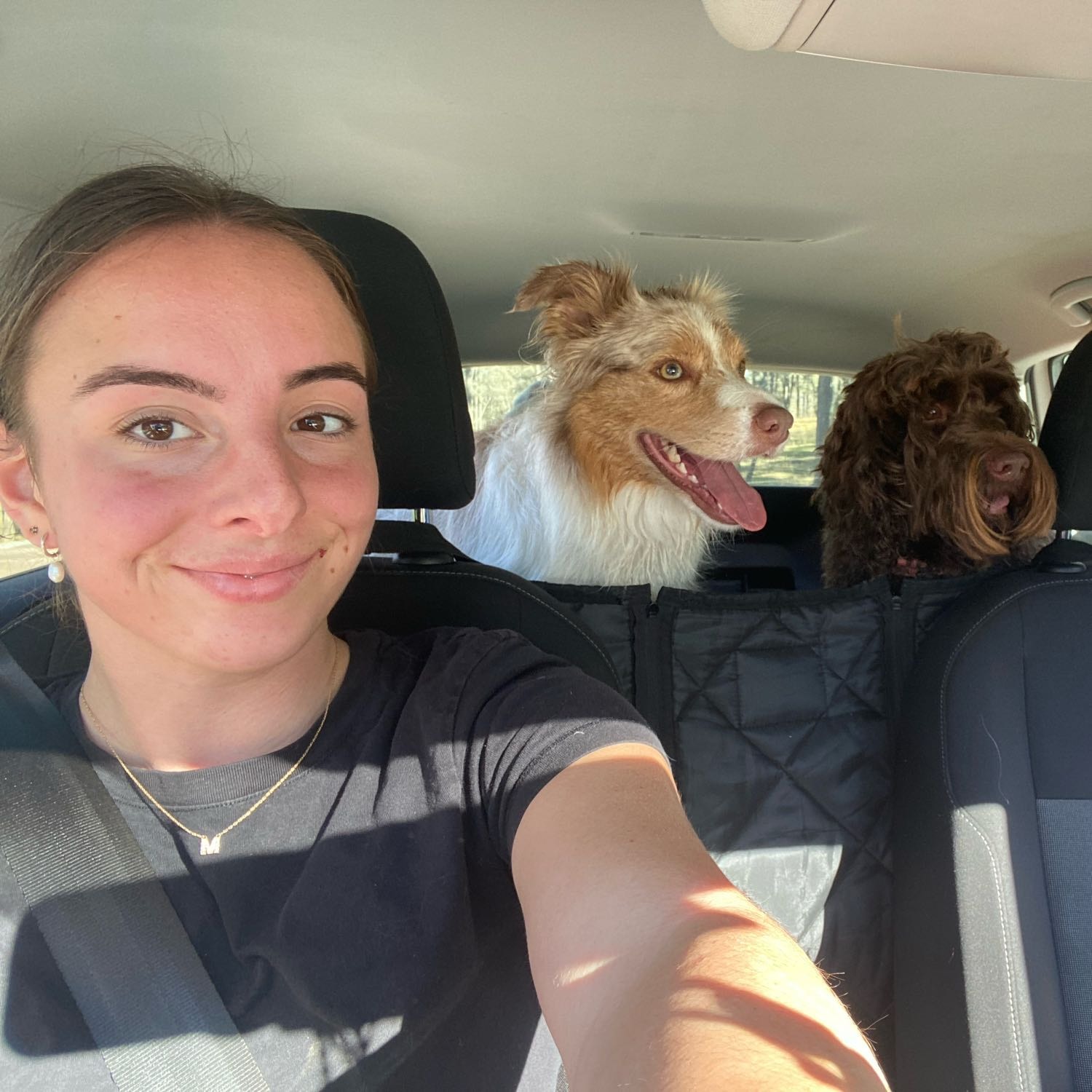 Dog Boarding Penrith NSW Better than a Dog Kennel or Dog Hotel