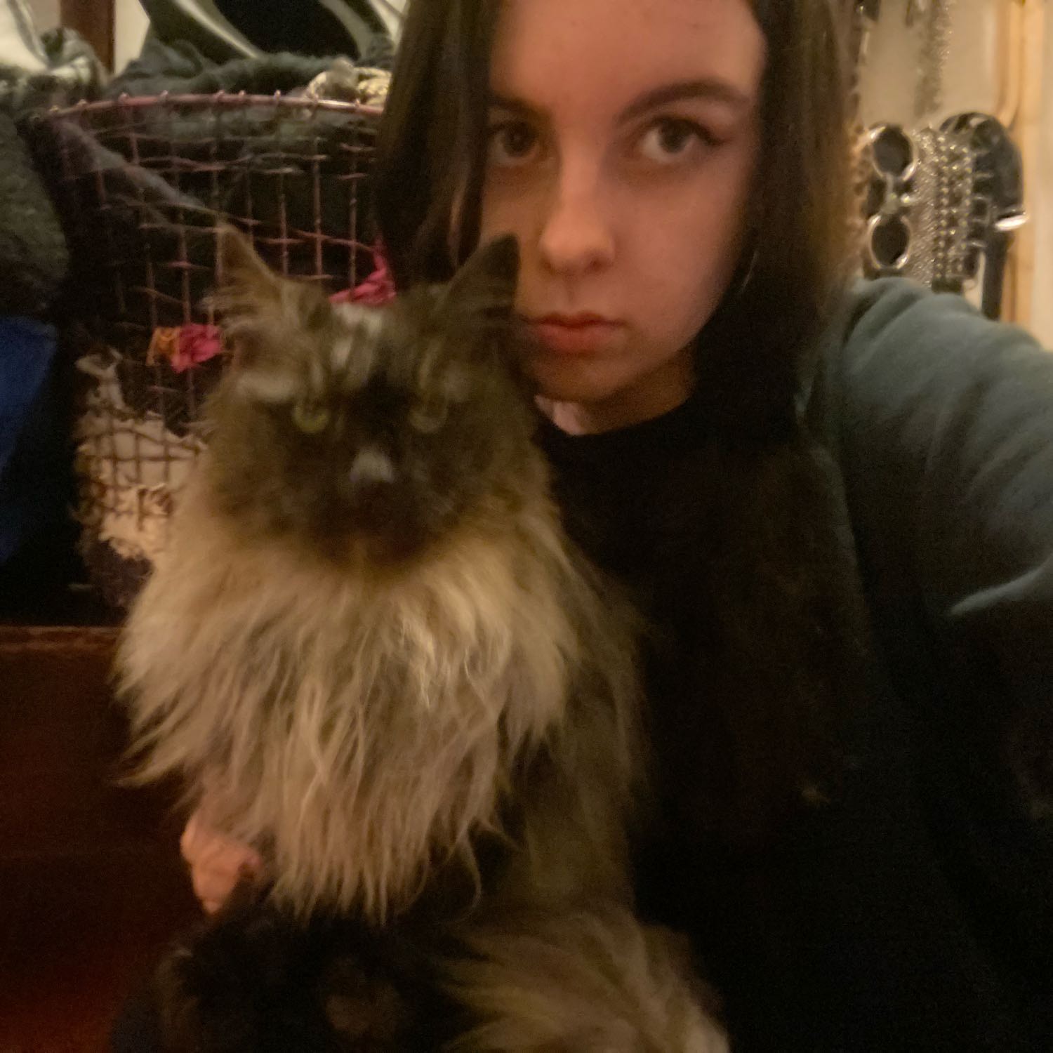 Jaz